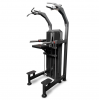   100  BRONZE GYM PARTNER ML-823  proven quality - Vasil-Gym