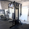    /  Protrain CP102 ( ) ARMS - Vasil-Gym