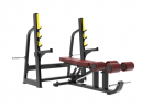     Protrain BPL186    armssport - Vasil-Gym