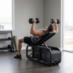 ������ ������� ������������������� CENTR ������ CFB1.1 - Vasil-Gym
