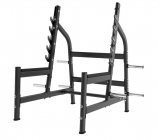      Protrain LFP131   proven quality - Vasil-Gym