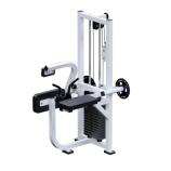 ������� �������� ��� ��������� ������ +������� + ����� Sabirgym SGINVAR056 - Vasil-Gym