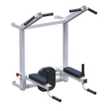������� �������� Sabirgym ������ + ������ + ����� Sabirgym SGL060 - Vasil-Gym