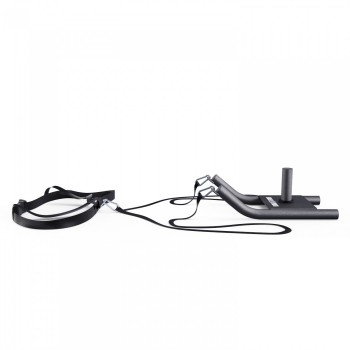 ������� ���� ��� ��������� DFC GORILLA 101110 �������� - Vasil-Gym