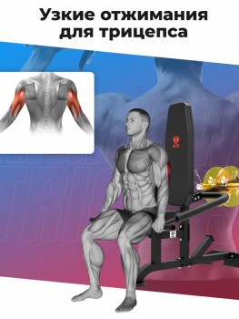 �������� ��� ������� � �������� DFC D2003A �������� armssport - Vasil-Gym