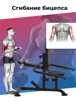 �������� ��� ������� � �������� DFC D2003A �������� armssport - Vasil-Gym
