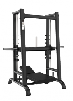       90  Protrain LFP139  - Vasil-Gym