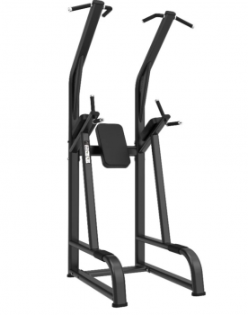 // Protrain LFP144     black step - Vasil-Gym