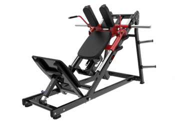  -/     Protrain LFP214 - Vasil-Gym