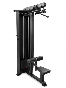 ������������ ���� ���������������� �������� BRONZE GYM PARTNER ML-306 iron king - Vasil-Gym