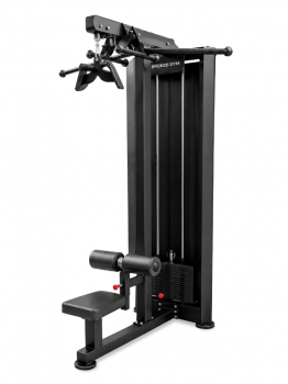 ������������ ���� ���������������� �������� BRONZE GYM PARTNER ML-306 iron king - Vasil-Gym