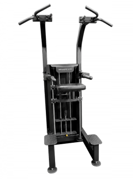 ��������� ���� 100 �� BRONZE GYM PARTNER ML-323 ���������������� ������� �������� ����������� - Vasil-Gym