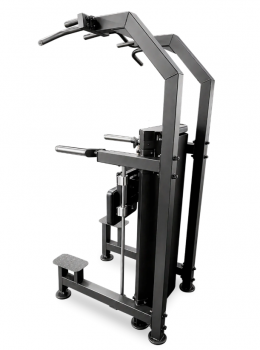 ��������� ���� 100 �� BRONZE GYM PARTNER ML-323 ���������������� ������� �������� ����������� - Vasil-Gym