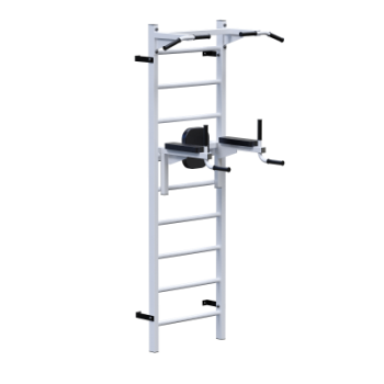 ������� �������� �������� ������ + ������ + ������ Sabirgym SGL072 - Vasil-Gym