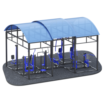 ARMS300 ������� ����� �� 10 ���������� - Vasil-Gym