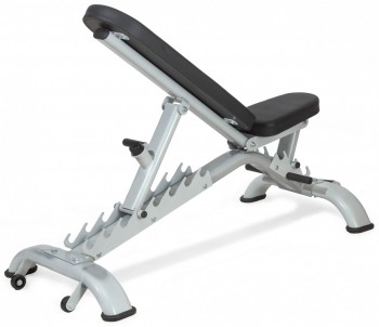 ������ ���������������� �������� VictoryFit VF-A5009 armssport - Vasil-Gym